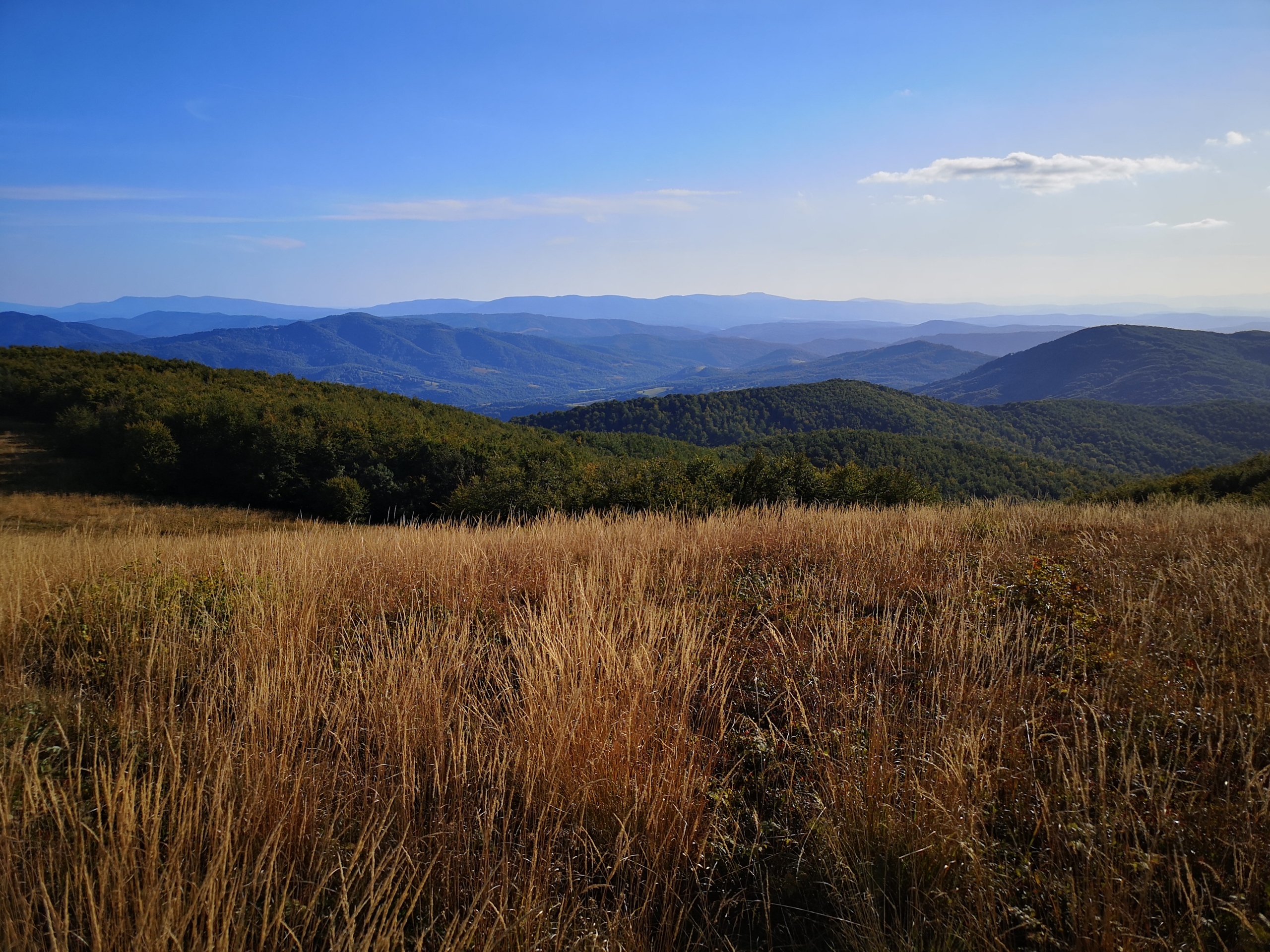 Featured image for S00E01 [Prolog] — Dlaczego powstał ten blog?